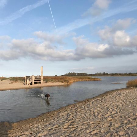 Ferienhaus Nele Ostseebad Kühlungsborn Eksteriør bilde