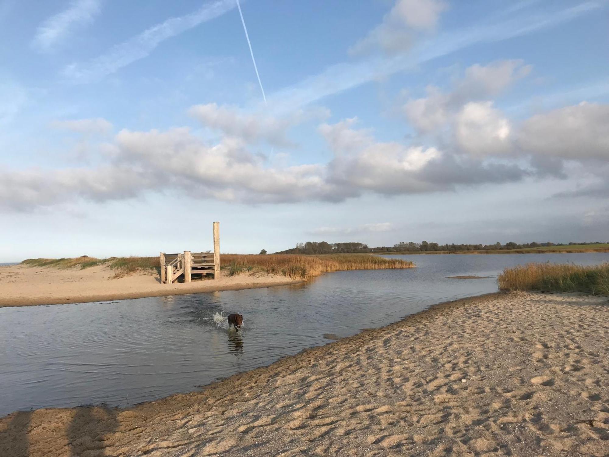 Ferienhaus Nele Ostseebad Kühlungsborn Eksteriør bilde